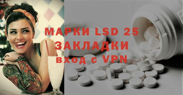 индика Инта