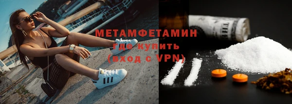 индика Инта