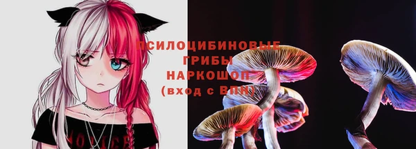 индика Инта