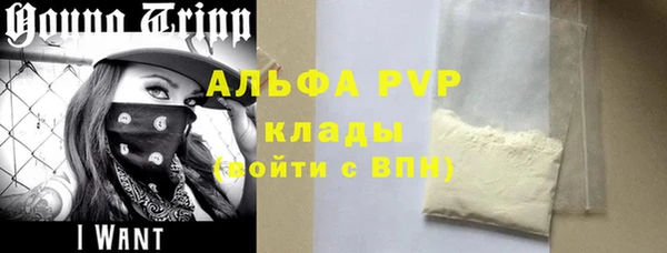 индика Инта
