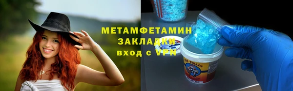 индика Инта