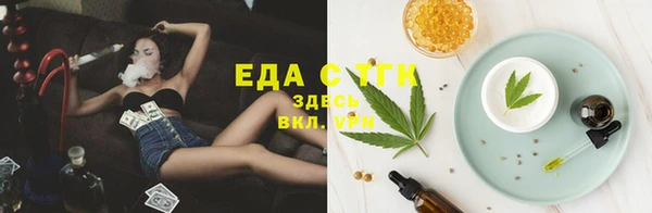 индика Инта