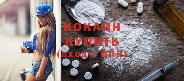 индика Инта