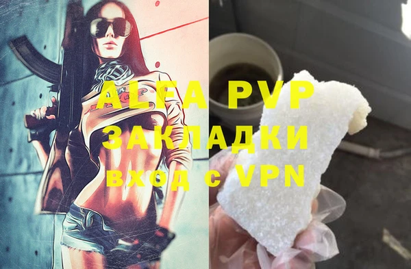 индика Инта