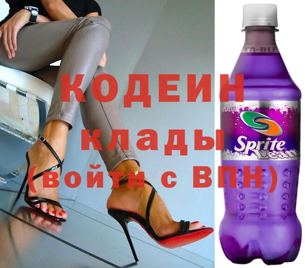 индика Инта