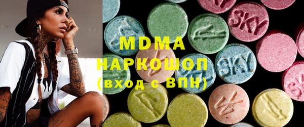 индика Инта
