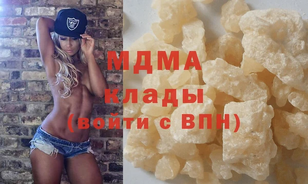 индика Инта