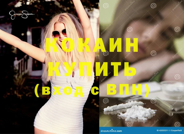 индика Инта