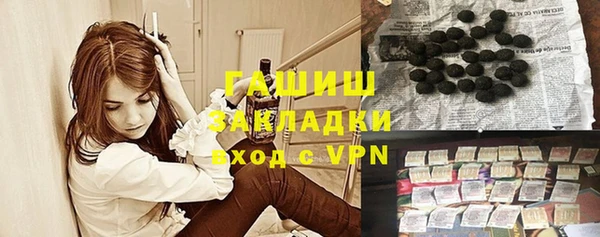 индика Инта