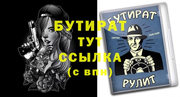индика Инта