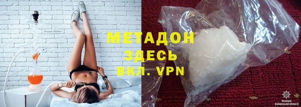 индика Инта