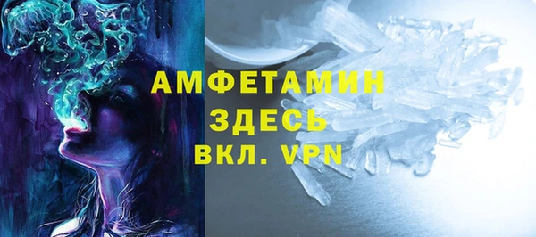 индика Инта