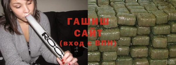 индика Инта