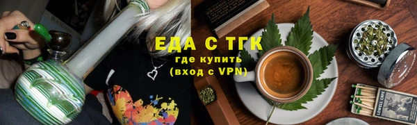 индика Инта