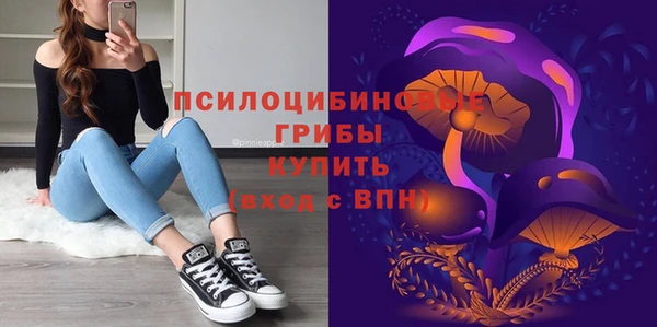 индика Инта