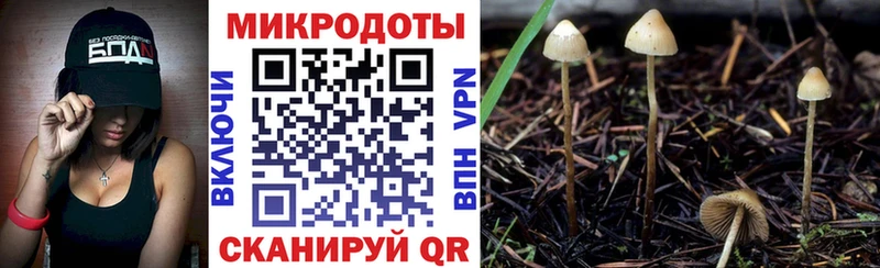 Купить где  Белый  Псилоцибиновые грибы ЛСД 